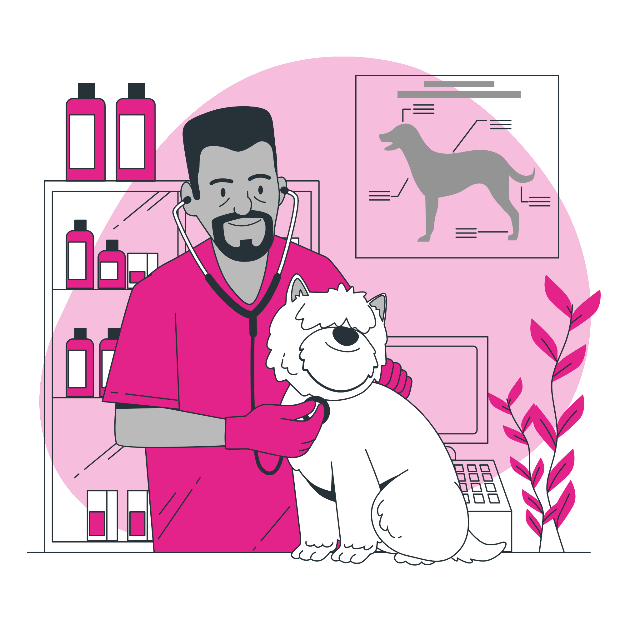 Marketing veterinário