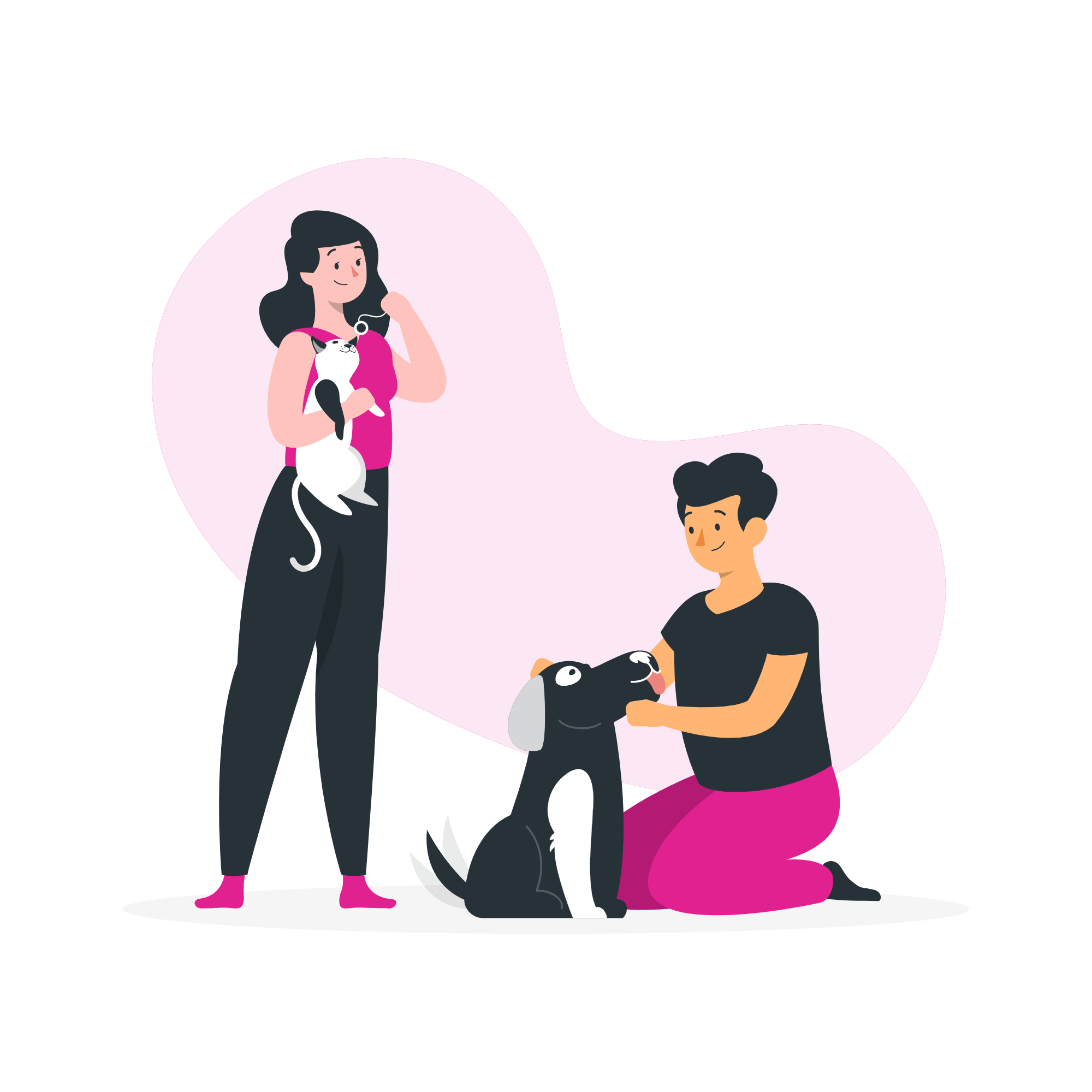 Marketing veterinário